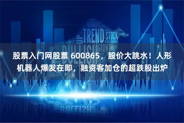 股票入门网股票 600865，股价大跳水！人形机器人爆发在即，融资客加仓的超跌股出炉