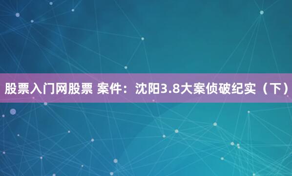 股票入门网股票 案件：沈阳3.8大案侦破纪实（下）