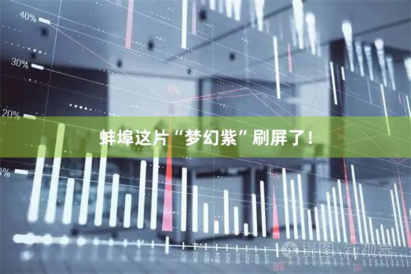 蚌埠这片“梦幻紫”刷屏了！