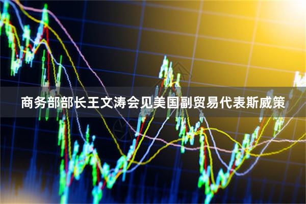 商务部部长王文涛会见美国副贸易代表斯威策