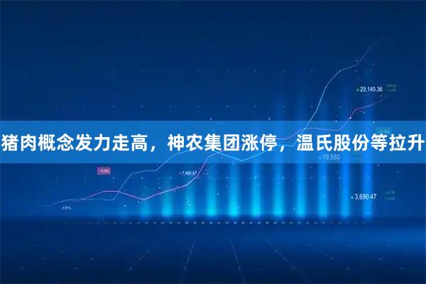 猪肉概念发力走高，神农集团涨停，温氏股份等拉升