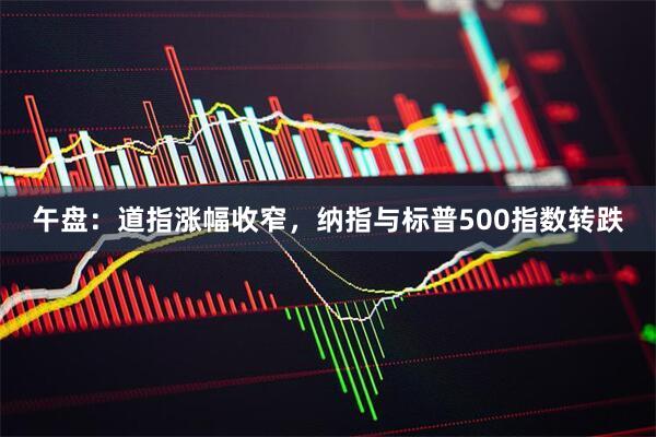 午盘：道指涨幅收窄，纳指与标普500指数转跌