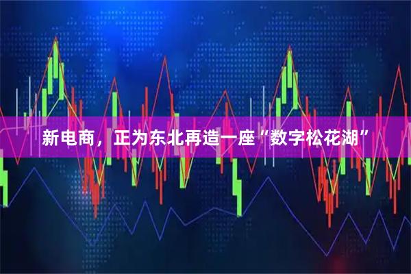 新电商，正为东北再造一座“数字松花湖”